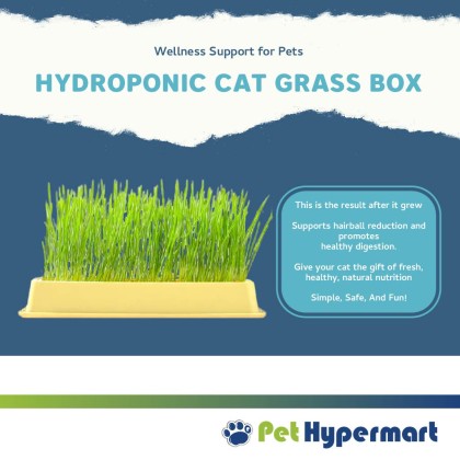 Zoonique Hydroponic Cat Grass Box